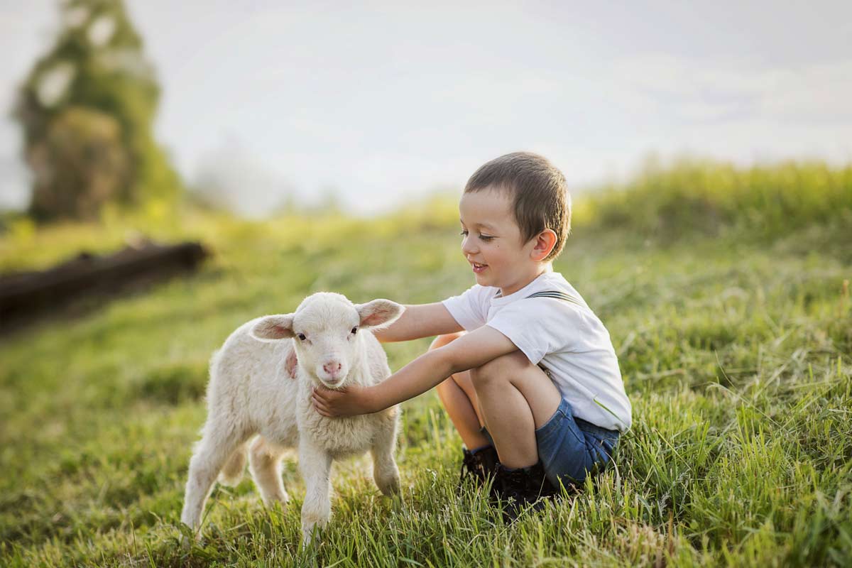 Boy with a sheep